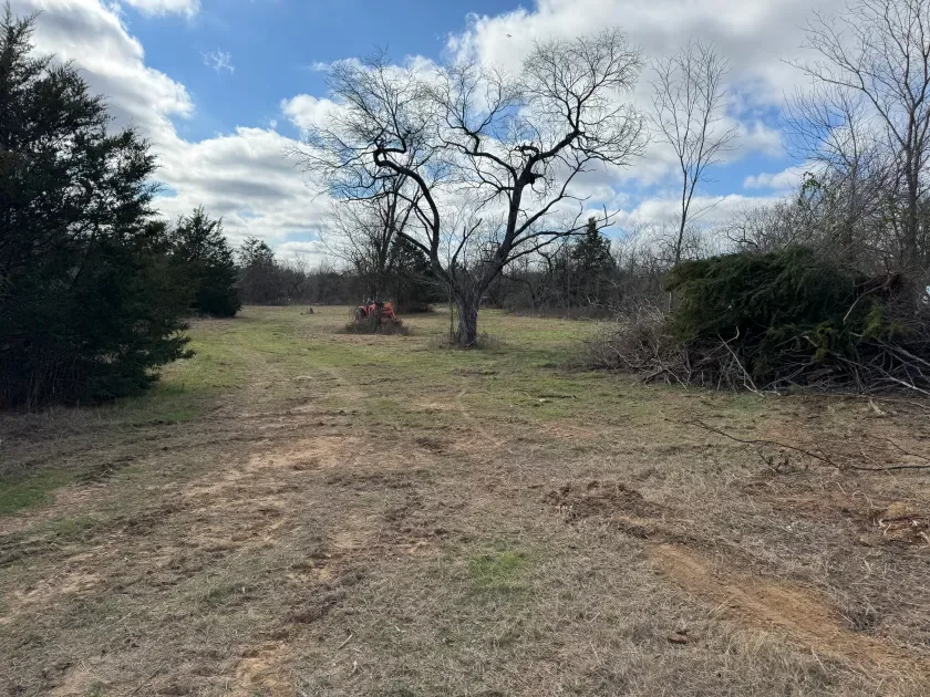 Cleared acreage in East Texas