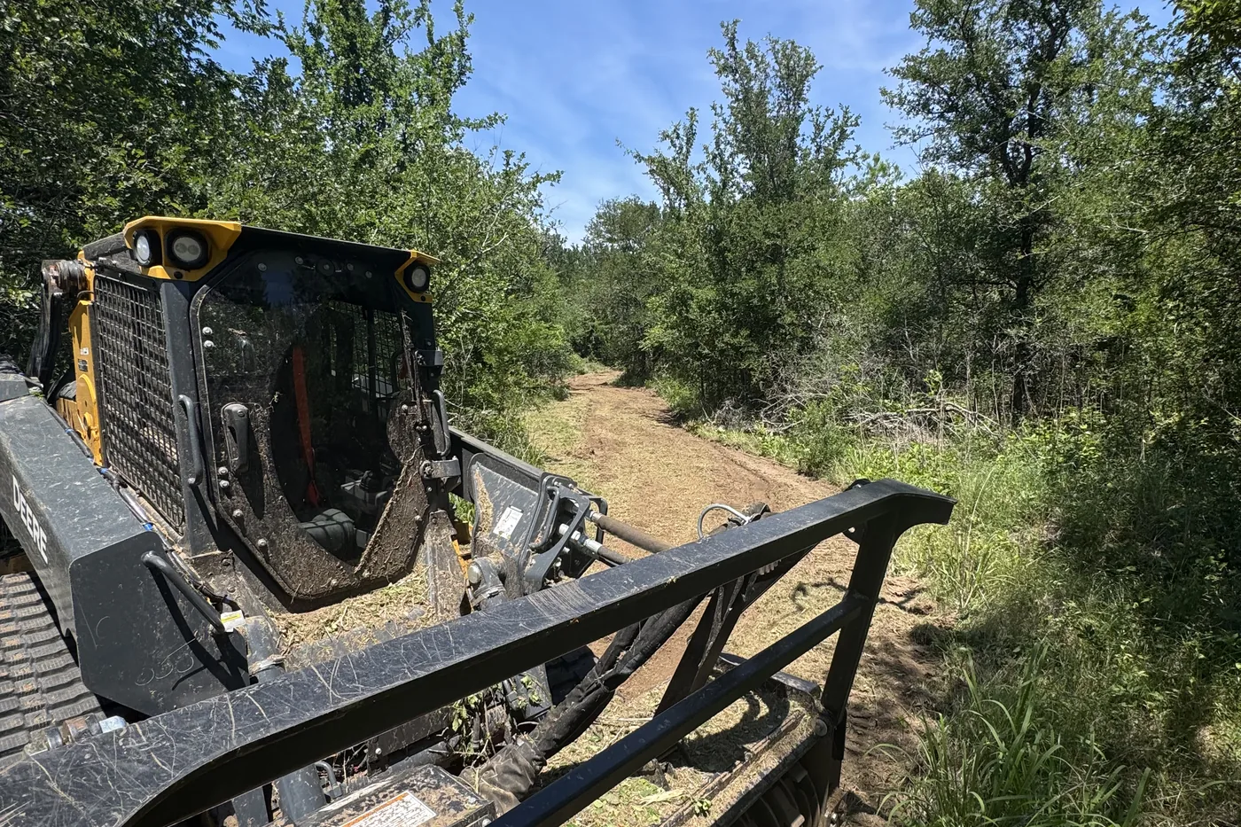 Newly cut trail through East Texas woods